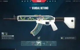 Conta Valorant Full Acesso Com mais de 650 reais Gasto!!