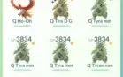 Conta Top 90 milhões XP