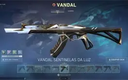 Conta valorant com mais de R$2000 gastos