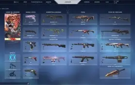 Conta Diamante 1 com várias Skins + Valorant Points