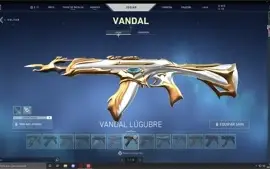 Conta valorant ex-radiante com skins