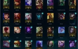 Conta Platina 2 MMR Alto