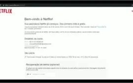 Vendo método de criar netflix 1 mês para revenda
