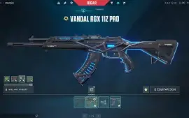 Conta Valorant - Vandal Rgx, Faca Xenocaçador E Muito Mais
