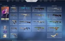 Conta Valorant Ouro 3 com skin em TODAS as armas