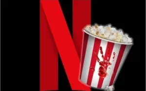 Vendo Contas Netflix Compartilhadas R$ 3,5