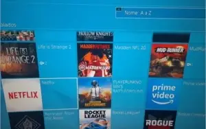 Conta PSN 139 Jogos (Last of Us2 Sekiro Control Farcry 5 R6)