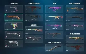 Conta Valorant com muitas skins e 1000R$ Gastos