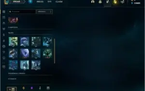 CONTA COM 236 SKINS