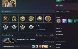 Contas steam 17 anos de serviço Prime com medalhas de 2015+