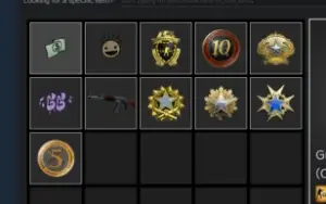 Contas steam 17 anos de serviço Prime com medalhas de 2015+