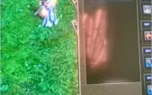 SACER EVIL 3 REFORJADO 200K - PERFECT WORLD ARCADIA