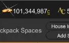 Conta AQW EndGame Level Max