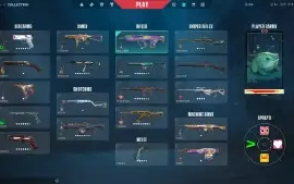 Conta Valorant Muitas Skins, Faca Xenocaçadora, Sublime Etc