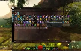 Conta Guild Wars2 C/ DLC Heart of Thorns /End Dragons