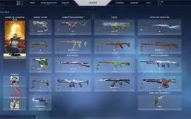 VENDO CONTA DE VALORANT COM KARAMBIT CHAMPION!! 900+ gastos