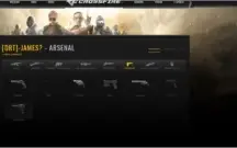 5 vip's K/D Positivo 2 estrelas