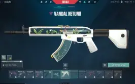Conta Lol/Valorant