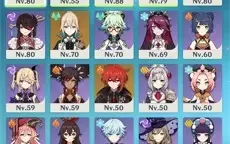 conta ar 55 ayaka main dps
