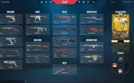 Conta Valorant com 42 skins sem ser de passe,champions but 