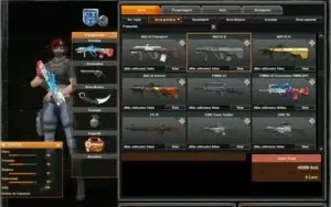 CONTA PBBR major 3 full cash