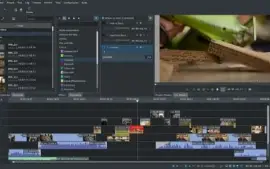 Edito seus seus Vídeos de forma Profissional: YouTube, Tikok