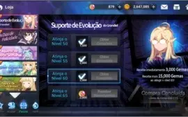 Conta Grand Chase Nivel 63 Top 126 Tickets Invocação na Bag