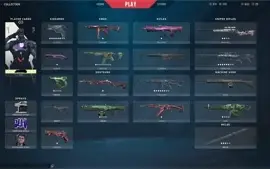 Conta BETA Valorant com Skins RGX + Facas
