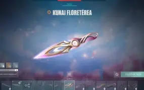 Conta Valorant Full Skin