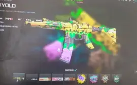 Conta De Warzone Full Acesso