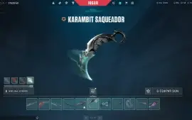 Conta valorant varias skins
