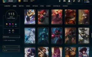 Unranked com 150 Champs e 113 Skins ( MAIN JG / ADC / SUP )