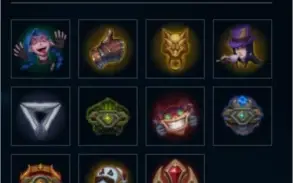 Conta Platina V