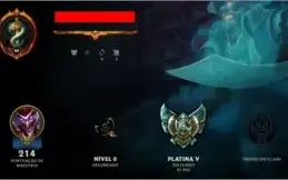 Conta Platina V