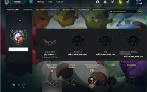 Conta Ferro 1 com 34 Champs e 2 Skins