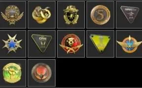 Conta Steam - Nível 100, 24 jogos, 12 medalhas csgo