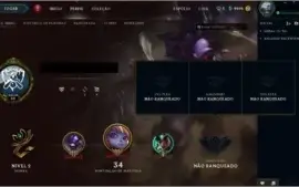 Conta LVL 30 (Unranked) (Nunca Pegou Elo)