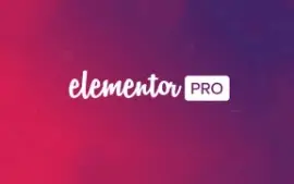 Elementor Pro - Sempre Atualizado