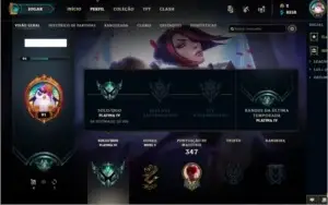 conta platina 4