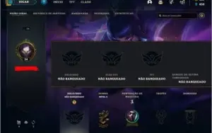CONTA UNRANKED LVL 34