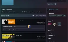 Cs2 Prime 3K Horas| Email Original | 13,538 Rank 4 Medalhas