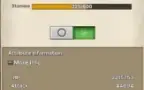 Conta Nak Muay 490 Tree Of Savior Papaya