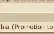 Pally Tibia Global - Level 65 - Skill 100 - Mundo Calmera