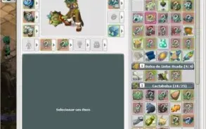 Conta WAKFU servidor EFRIM com sets, itens e bastante kamas