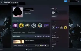 Counter-Strike 2 Prime Com Medalhas Raras E Antigas