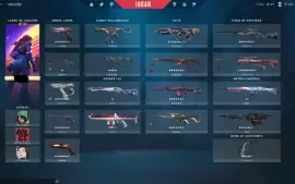Conta Ouro 1 Com 2500 Reais Gastos
