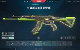 conta valorant com 2 skins excluisivas e 2 premium