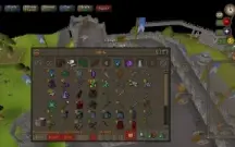Vendo osrs iron Man!