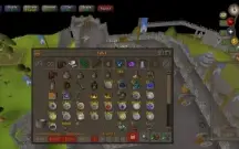 Vendo osrs iron Man!