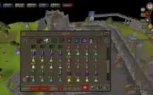 Vendo osrs iron Man!